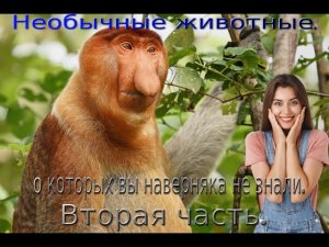 Интересные истории и факты про животных.