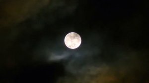 Жуткая реальная история о рудных волках