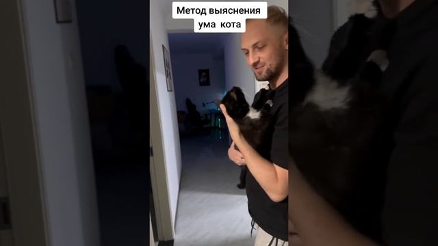 угар ? смешное видео