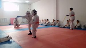 Каратэ Спаринг