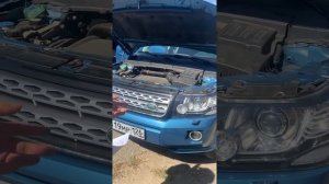 Отзыв фрилендер 2 . Часть два