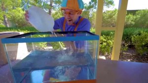 Песня Мы Заботимся О Домашних Животных - Блиппи на Русском  Изучай этот Мир вместе с Блиппи - Blippi