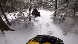 Сравниваем BRP OUTLANDER 500, CF MOTO X8, STELS GUEPARD 850