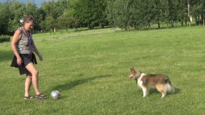 Лета 2020 игра в мяч