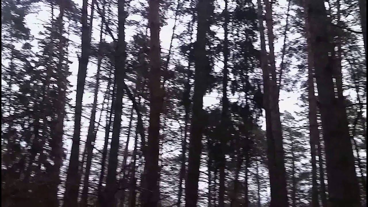 Протвино, в районе "Трех остановок" смотреть онлайн