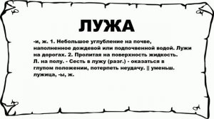 ЛУЖА - что это такое? значение и описание