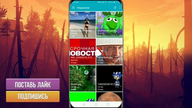 КАК РАЗМЫТЬ ФОН  НА ТЕЛЕФОНЕ. обработка обработка фотографий на телефоне. обработка в li