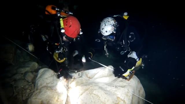 Proteus Project смотреть онлайн