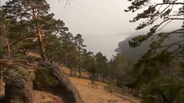 Екатерина Лесовая "По диким степям Забайкалья" смотреть онлайн