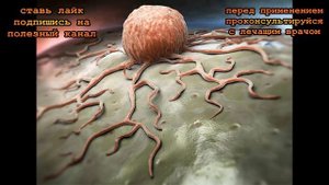 ★Куркума, оливковое масло и перец активно борятся с раковыми клетками, сохранят красоту и молодость