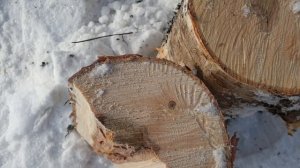 Немного про  дрова.