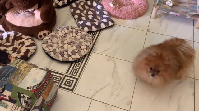 Получила подарок от детей на Пасху. смотреть онлайн