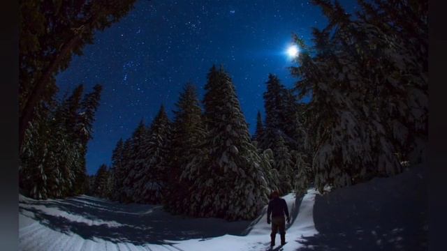 Мужчина нашёл в лесу девушку. То, что он с ней сделал, потрясло Интернет.