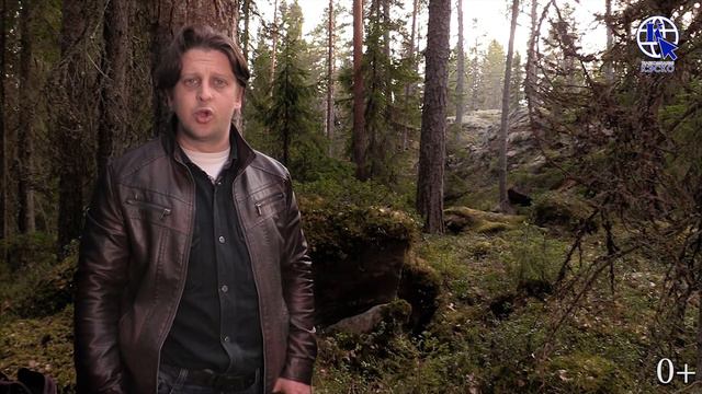 Тюттиев Максим " Ночные ведьмы" г.Питкяранта#читаемовойне
