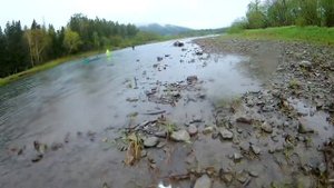 Ловим Симу на Сахалине! Река Лангери