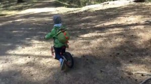 Беговел Puky LR Ride 4080