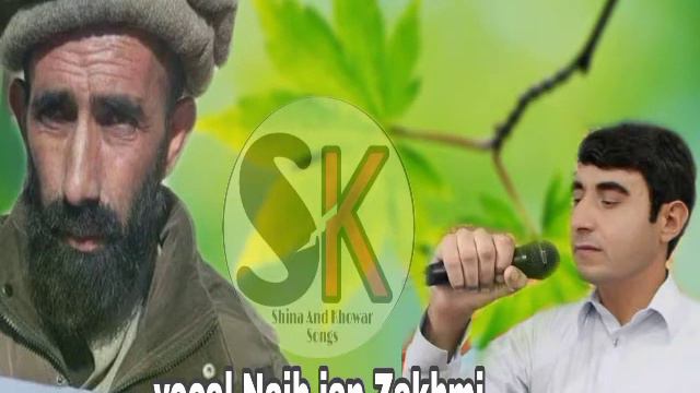 naib jan zakhmi shina new songs смотреть онлайн