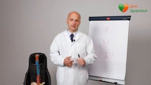 Массажер «Мастер плюс» Дом Здоровья. Массажная накидка. Александр Малко.