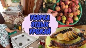 VLOG: Уборка с RedRoad V17/Ребрышки на МАНГАЛЕ/Картошка НЕ УРОДИЛАСЬ/ ЗА КАДРОМ