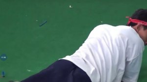 Змея укусила........