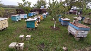 Мысли в слух! Роеловство2020