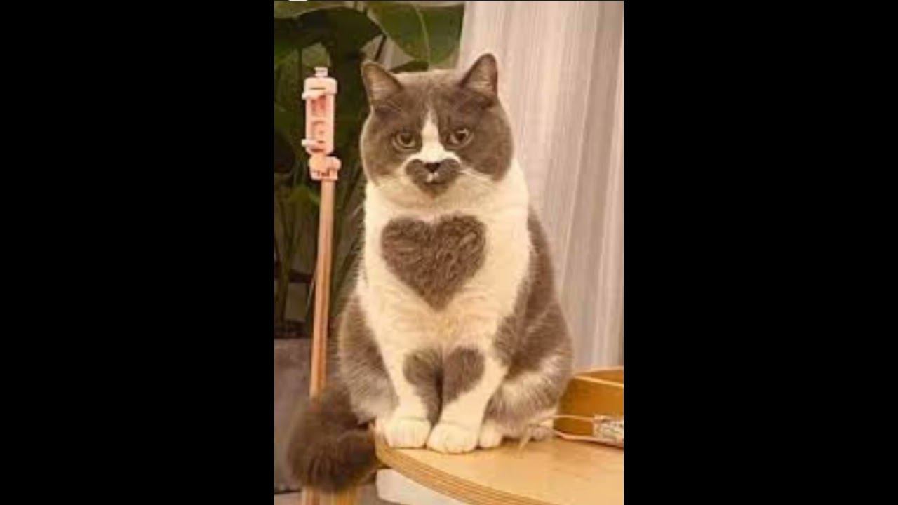 Видео от #беженки. #Путин #спецагент? Почему допустил законы против народа.