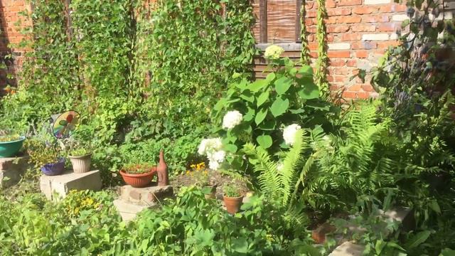 Мое 24.07.20 Всех Олечек с Днём Ангела 💞🌹😇 смотреть онлайн