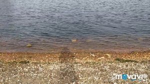 Пойма реки Царицы и река Волга. Волгоград и его достопримечательности.