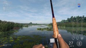 Trophy Redear Sunfish Guide - Everglades - Fishing Planet