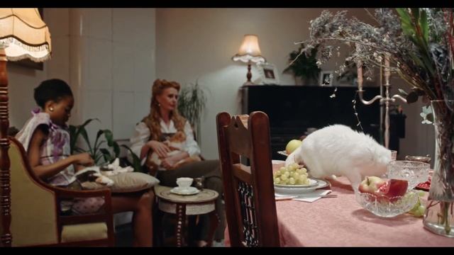 Funny Cat Videos 2023 ? | Cat Lovers ? | The Animal House