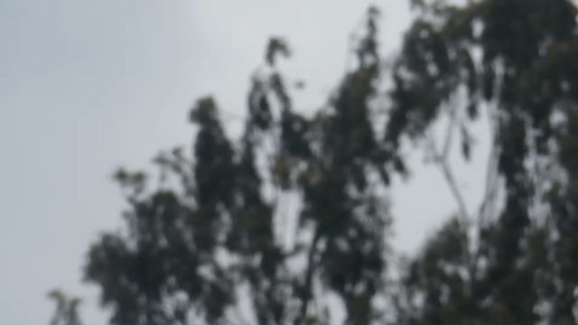 MVI 1380 Canon sx270 hs смотреть онлайн