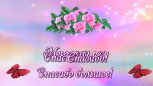 С Международным Днём Спасибо поздравляю 11 января! Красивая открытка!