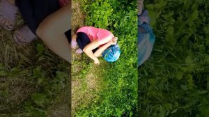 Какие стеснительные