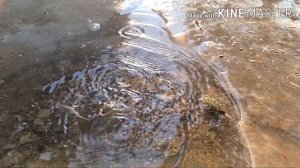 *замедленная и сверх замедленная съёмка на Samsung galaxy s20 ultra*