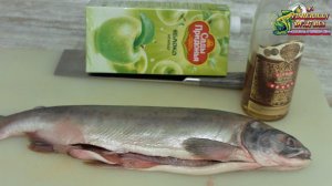 Малосольная горбуша быстрого приготовления, всего за 15 минут, рецепты из рыбы от fisherman dv 27rus