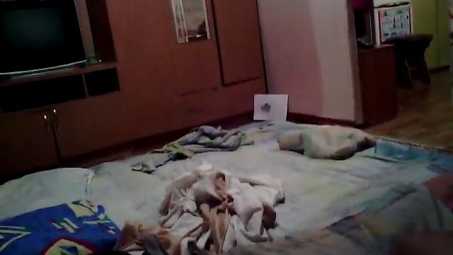 Пугаем сестрёнку тарантулом (ржака) смотреть онлайн