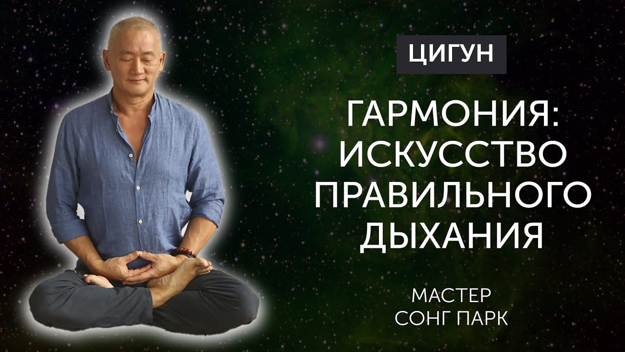 Глубокое дыхание – основа гармонии души и тела | Мастер Сонг Парк | Академия Киайдо