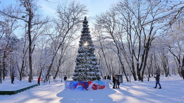 Б. Ахмадулина "Какое блаженство, что блещут снега"