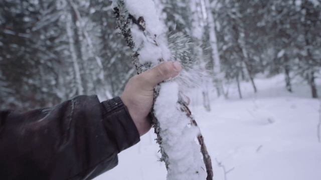 БРЁВНА ЛИСТВЕННИЦЫ. КРУГЛЯК ЛИСТВЕННИЦЫ. ПРОИЗВОДСТВО ПИЛОМАТЕРИАЛА ИЗ ЛИСТВЕННИЦЫ. ДОСТАВКА.