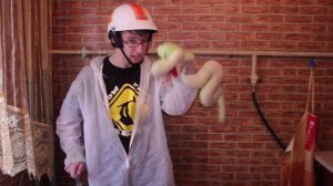 КАК ПРИГОТОВИТЬ ЗМЕЮ