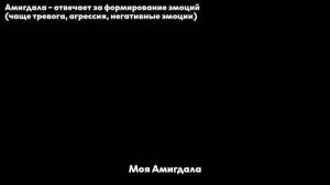 [RUS SUB/Перевод] Agust D – AMYGDALA MV