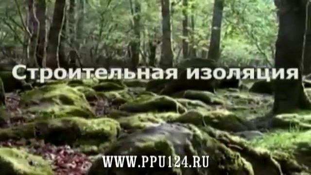 Пенополиуретан ппу