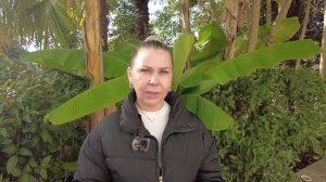 Отель "Очарование моря". Сочи Хоста.   Тропический рай в Сочи.   Отзывы отели.