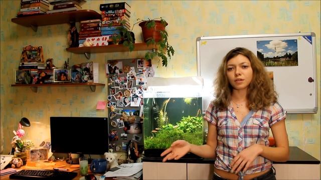 отзыв на тренинг Артема Мельника смотреть онлайн