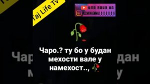 Дилгир шудам аз шаб шудан🥀🥀🥀