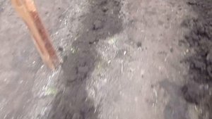 Подготовка теплицы под посев редиса