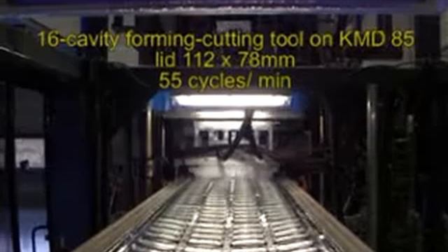 dexter Mould Technology 16-cav In-Mould_Cutting lid tool.mpg смотреть онлайн