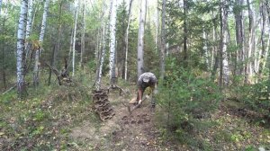 ПОИСК МЕТАЛЛА В ЛЕСУ ПРОДОЛЖАЕТСЯ! НАШЁЛ СТАРУЮ СТОЯНКУ ЛЕСОРУБОВ! СОБИРАЮ ТРАКИ И РАЗНЫЙ МЕТАЛЛ!!!