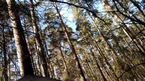 8 мая 2022 г. Широкореченском кладбище