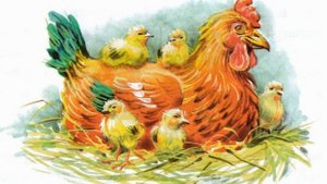 Хромая курица. Рассказ для детей о добре.